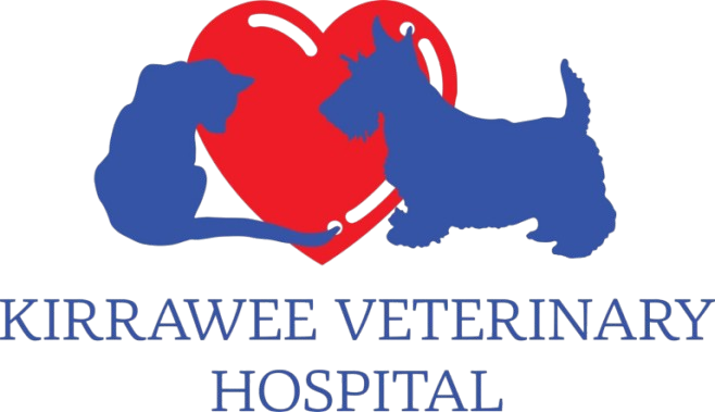 veterinary-care-for-pets-min-1536x885-removebg-preview